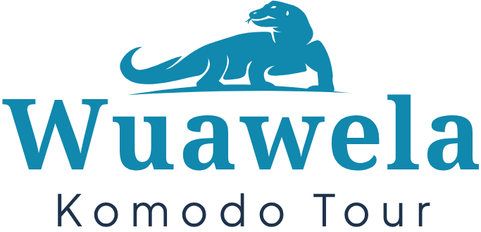 Wuawela Komodo Tour