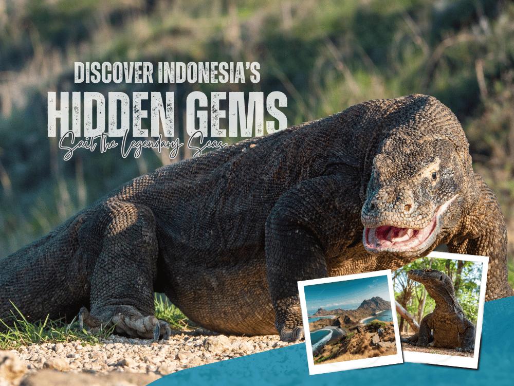 Discover the Hidden Paradise of Komodo