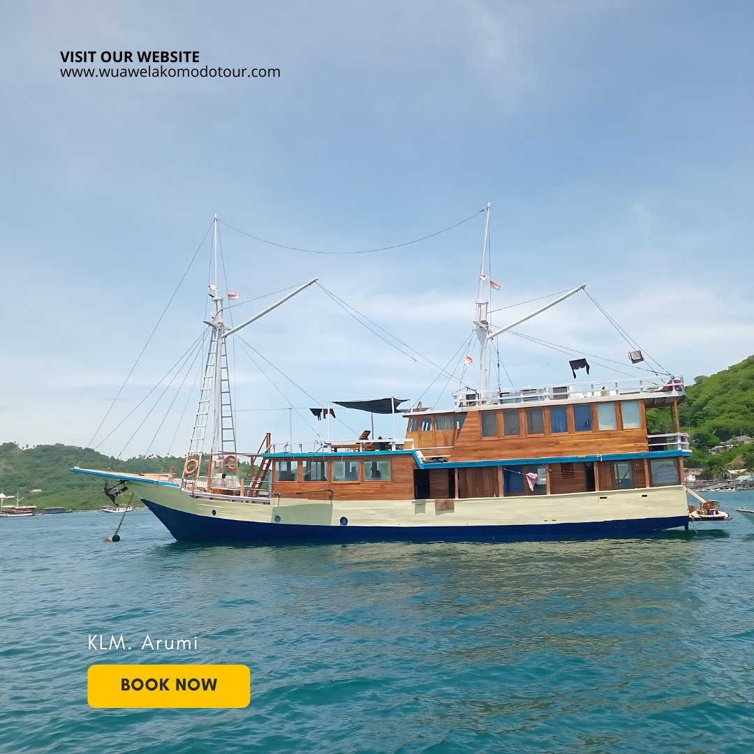 Sail Komodo to Lombok – Dragons, Mantas, & Ocean Magic